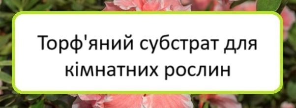 torfyanyy-substrat-dlya-kimnatnykh-roslyn