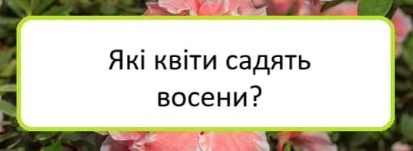 yaki-kvity-sadyatʹ-voseny