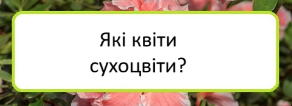 yaki-kvity-sukhotsvity