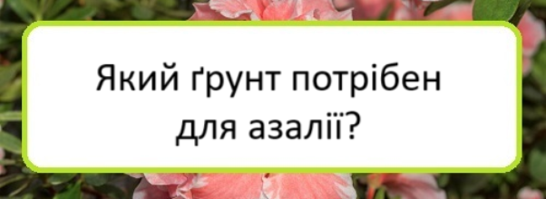 yakyy-grunt-potriben-dlya-azaliyi