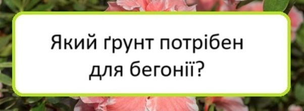 yakyy-grunt-potriben-dlya-behoniyi