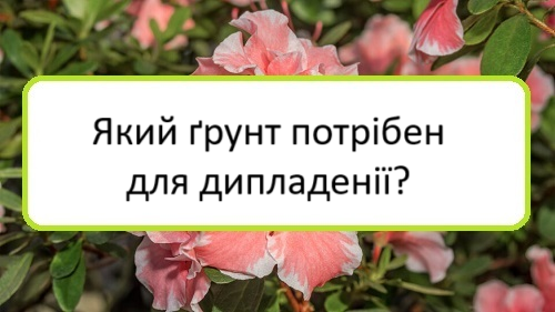 yakyy-grunt-potriben-dlya-dypladeniyi