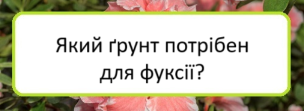 yakyy-grunt-potriben-dlya-fuksiyi
