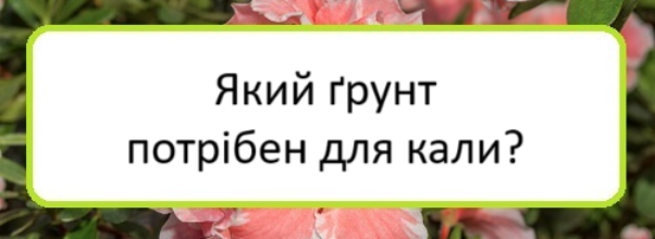 yakyy-grunt-potriben-dlya-kaly