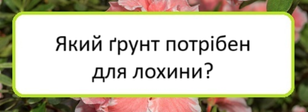 yakyy-grunt-potriben-dlya-lokhyny-2