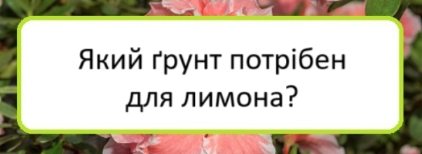 yakyy-grunt-potriben-dlya-lymona