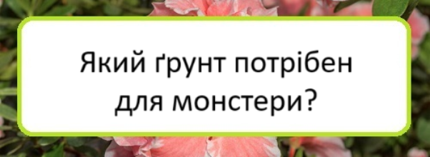 yakyy-grunt-potriben-dlya-monstery