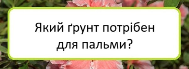 yakyy-grunt-potriben-dlya-palʹmy