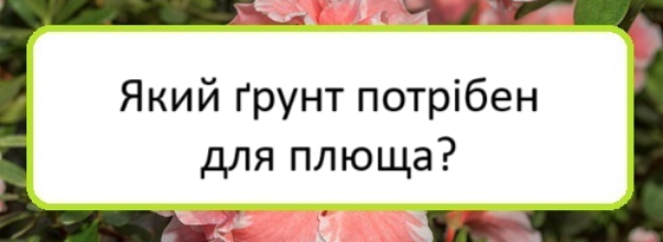 yakyy-grunt-potriben-dlya-plyushcha