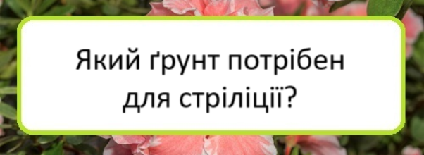 yakyy-grunt-potriben-dlya-strilytsiyi