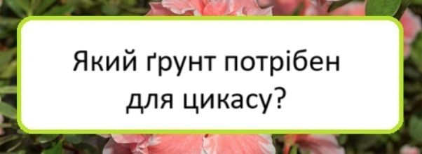 yakyy-grunt-potriben-dlya-tsykasu